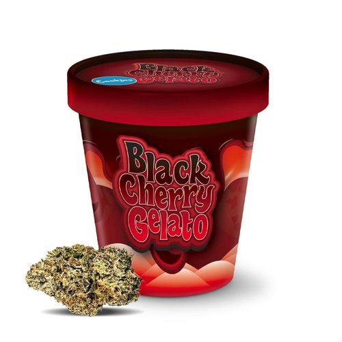 {'strain': 'Black Cherry Gelato', 'strain_type': 'Hybrid', 'company': 'Cookies', 'brand': 'Cookies', 'price': Decimal('30.00'), 'regular_price': Decimal('45.00'), 'thc': Decimal('26.80'), 'cbd': Decimal('0.09'), 'terps': Decimal('1.91'), 'grams': Decimal('3.500'), 'dollars_per_thcg': Decimal('31.980'), 'dollars_per_g': Decimal('8.570'), 'product_format': 'Flower', 'product_sub_format': 'Whole', 'dispensary_cities': ['Deland'], 'main_url': 'https://cookiesflorida.co/deland-woodland/shop/black-cherry-gelato-1-8oz/', 'display_image_url': 'https://thchunter-images.s3.amazonaws.com/product_images/d0575f97-301d-4fdb-96d7-444bdfb5c93d.jpg', 'id': 12375678, 'company_logo_file': 'Cookies.jpg', 'company__premium_company': False, 'company__name': 'Cookies'}