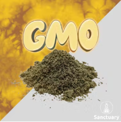 GMO - 