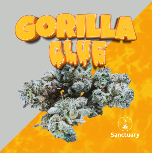 G. Glue - 