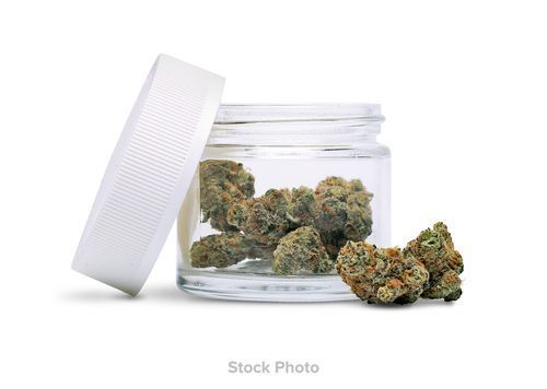 Kynd PRPL ALE-N (H) Flower - 